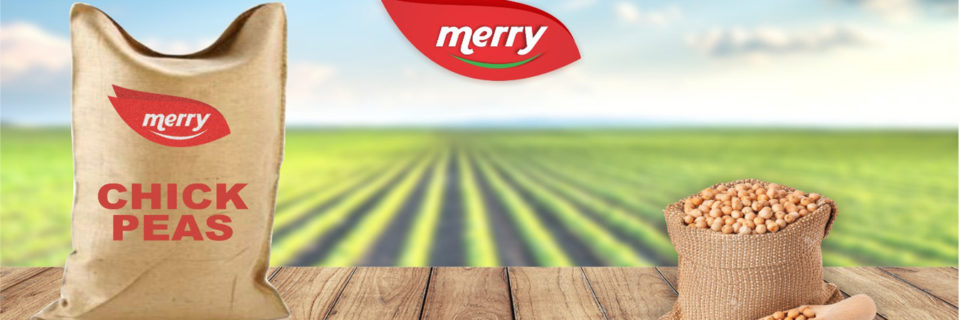 feelmerry netherlands